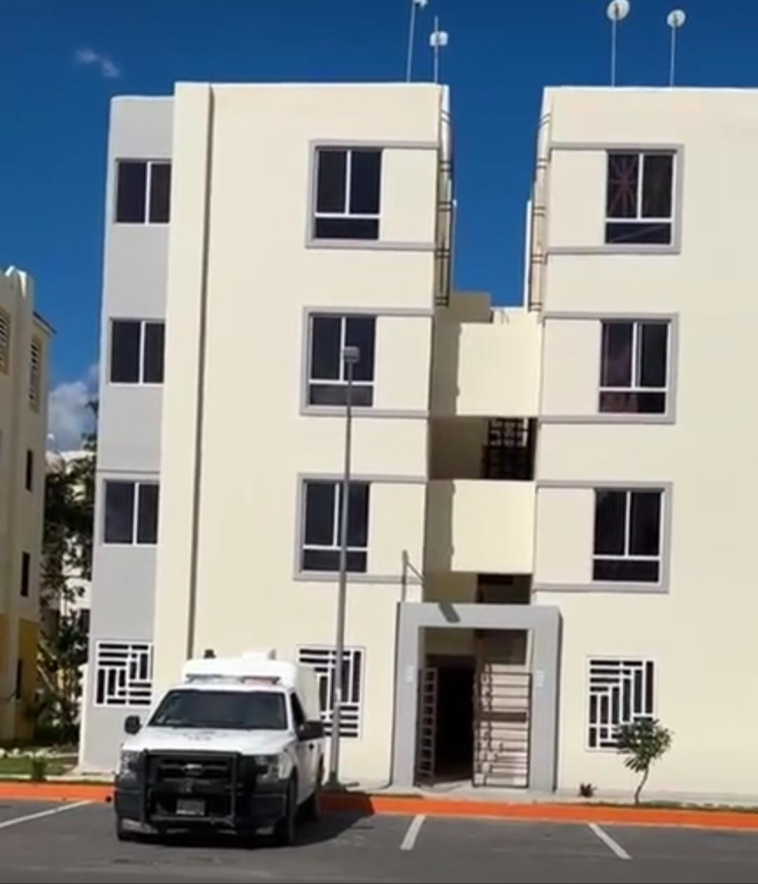 El olor, la presencia de moscas y gusanos alertaron a los vecinos El olor, la presencia de moscas y gusanos alertaron a los vecinos