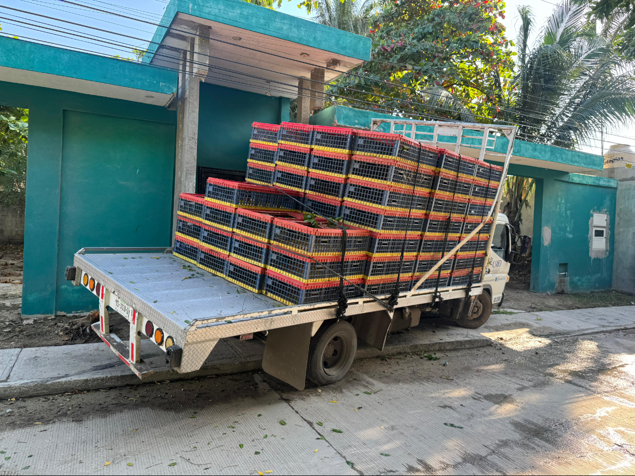 Camión de carga se estrella contra la fachada de una casa en Ciudad del Carmen
