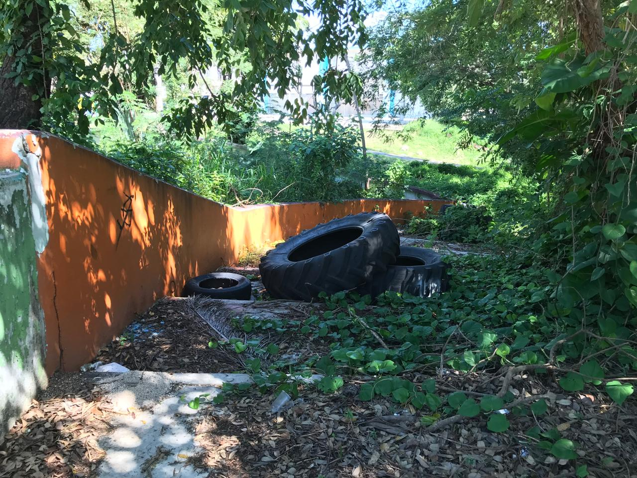 Dentro del parque hay residuos de basura y restos de automóviles, como lo son las llantas Dentro del parque hay residuos de basura y restos de automóviles, como lo son las llantas