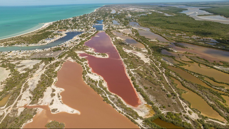 Las aguas de la región son hogar del crustáceo "Artemia", principal alimento de los flamencos rosados. Las aguas de la región son hogar del crustáceo "Artemia", principal alimento de los flamencos rosados.