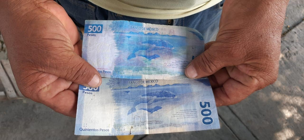 Aparición de billetes falsos aumenta durante diciembre. Aparición de billetes falsos aumenta durante diciembre.