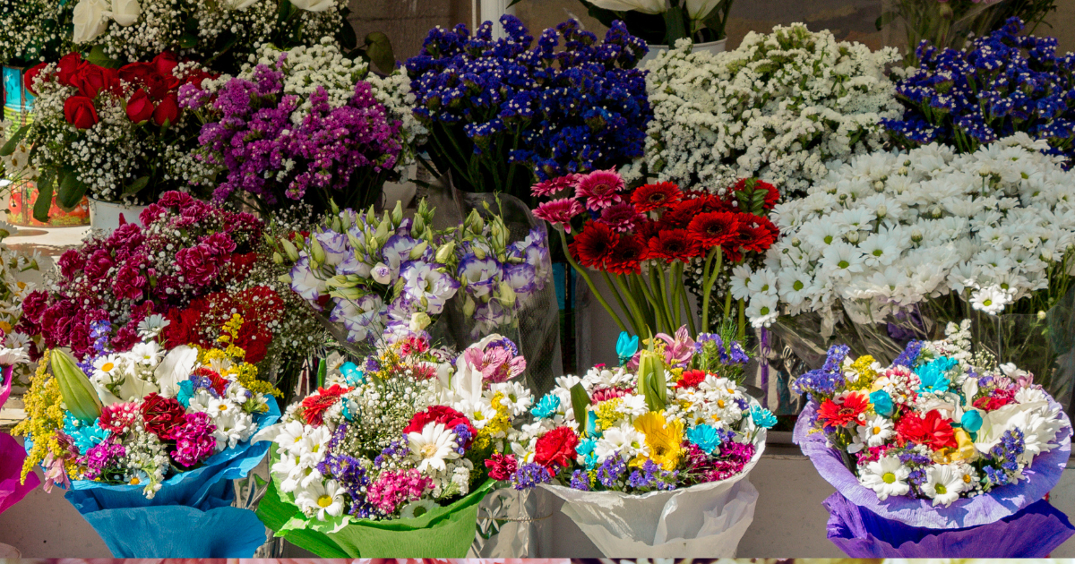 Qué flor te toca según tu mes Qué flor te toca según tu mes