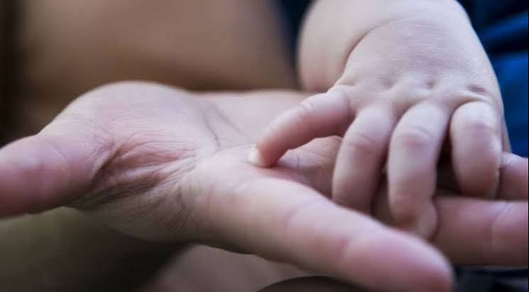 Juzgado de Adopción en Quintana Roo abrirá su primera sede en Chetumal Juzgado de Adopción en Quintana Roo abrirá su primera sede en Chetumal