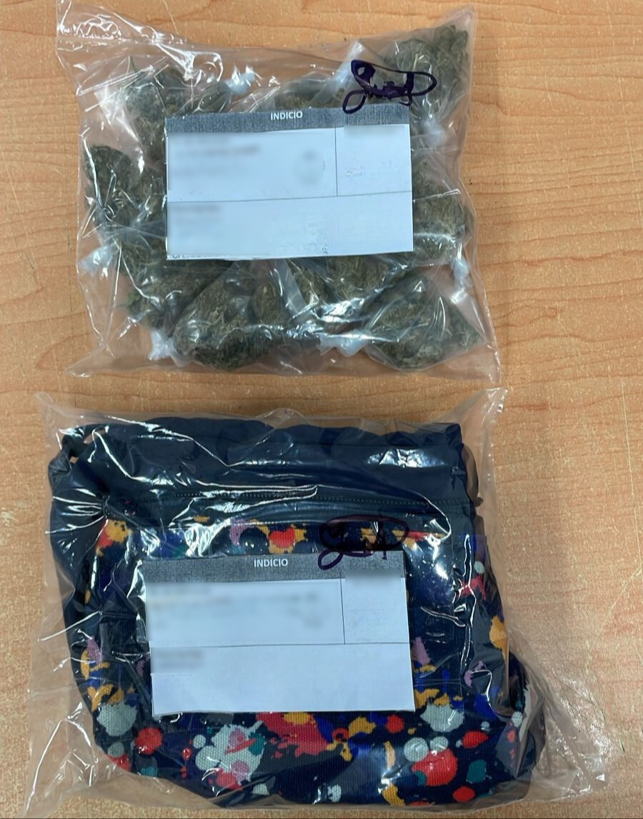 Se encontraron bolsas con hierba seca, supuestamente marihuana Se encontraron bolsas con hierba seca, supuestamente marihuana