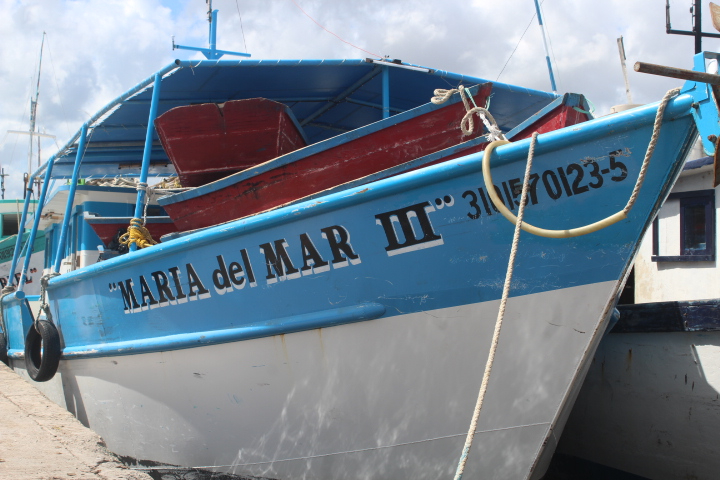 La medida beneficiará principalmente a los pescadores de Yucatán y Campeche La medida beneficiará principalmente a los pescadores de Yucatán y Campeche
