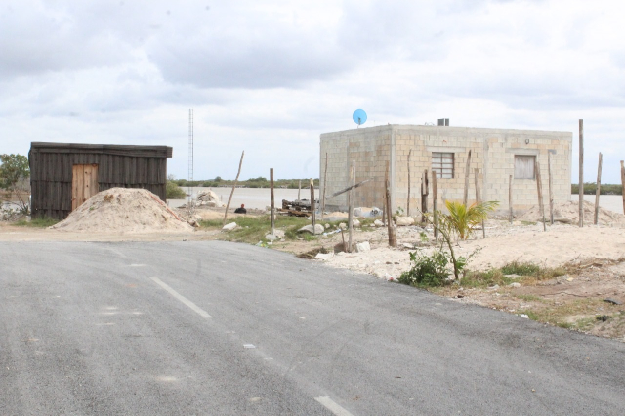   Persiste la venta ilegal de terrenos en la ciénega de Chicxulub Puerto, dañando el ecosistema  
