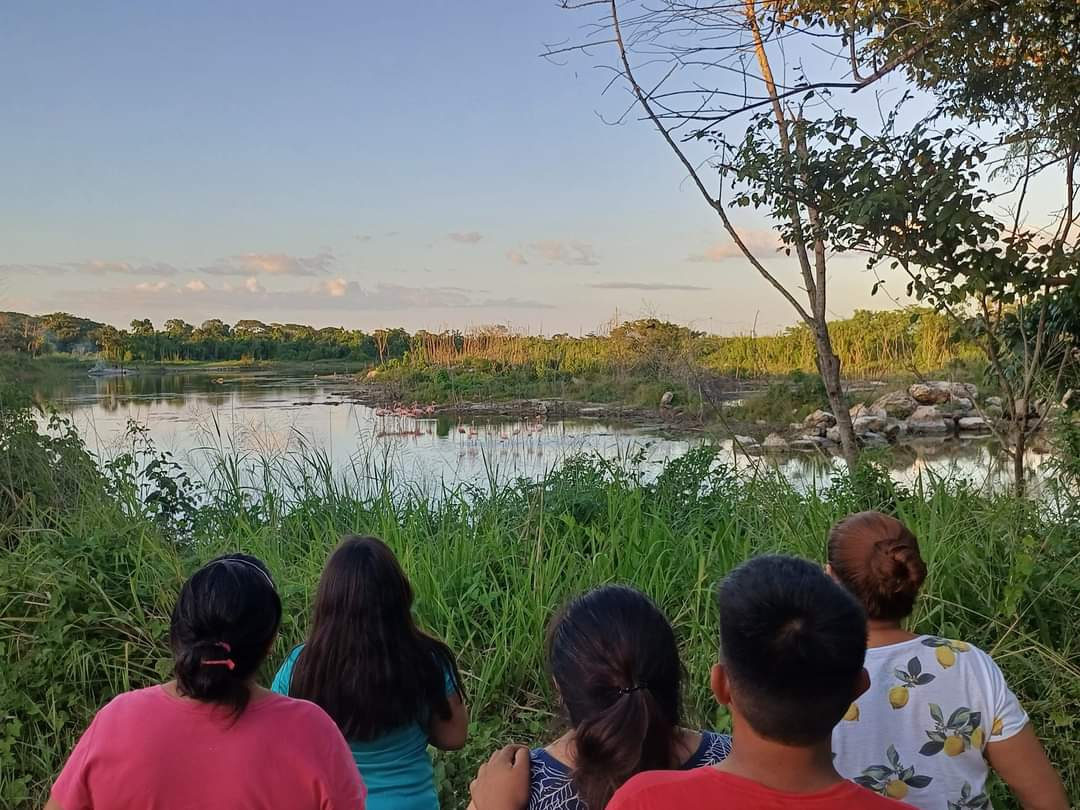 Estos avistamientos han generado interés en la conservación de los ecosistemas Estos avistamientos han generado interés en la conservación de los ecosistemas