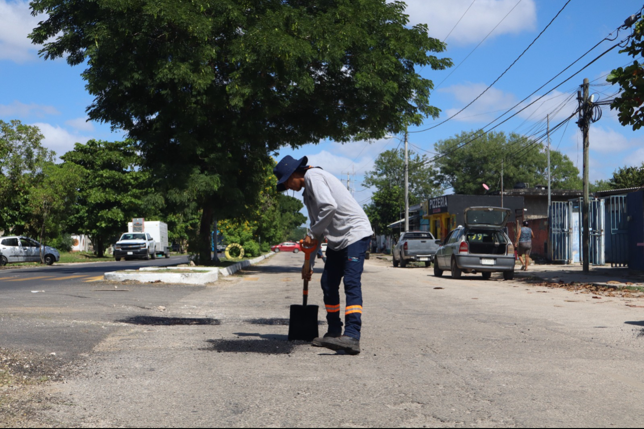 Brigadas del Ayuntamiento de Mérida realizan labores de bacheo, limpieza de vialidades y poda en banquetas Brigadas del Ayuntamiento de Mérida realizan labores de bacheo, limpieza de vialidades y poda en banquetas
