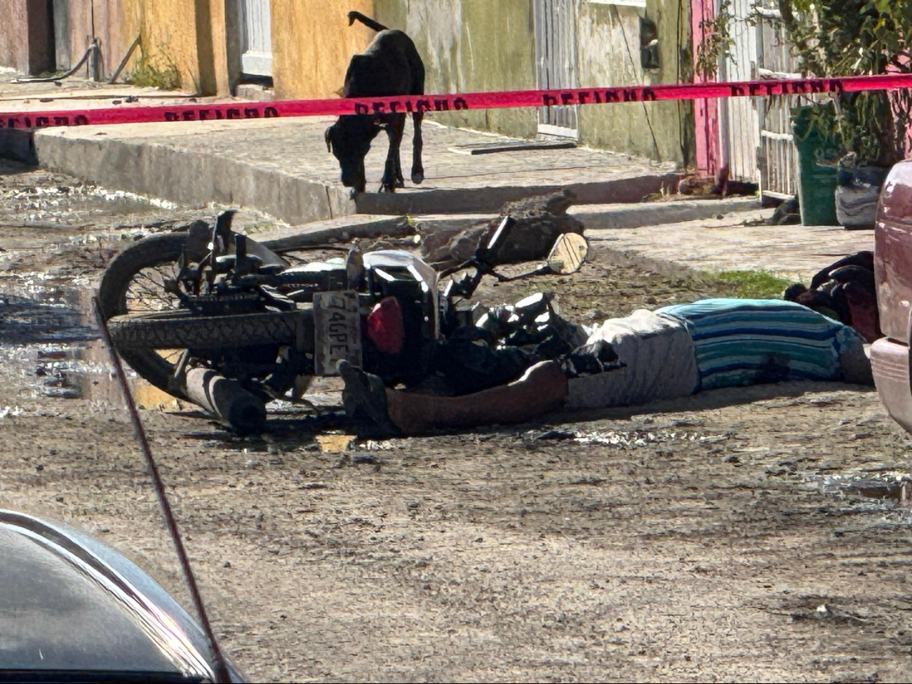 Ejecutan a motomandadito de 6 disparos en el fraccionamiento Santa Rita 3. Ejecutan a motomandadito de 6 disparos en el fraccionamiento Santa Rita 3.