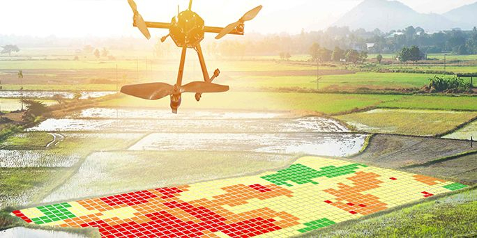 LiDAR ha demostrado ser una herramienta invaluable para los arqueólogos LiDAR ha demostrado ser una herramienta invaluable para los arqueólogos