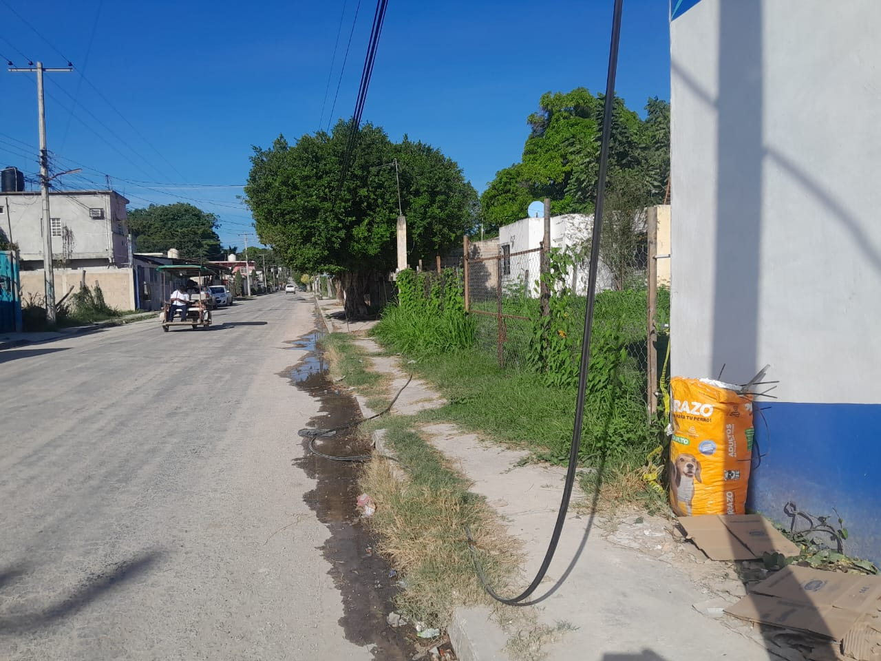 Cables de Telmex llevan colgados cinco días en la calle 22 por 51 de la colonia Esperanza Cables de Telmex llevan colgados cinco días en la calle 22 por 51 de la colonia Esperanza