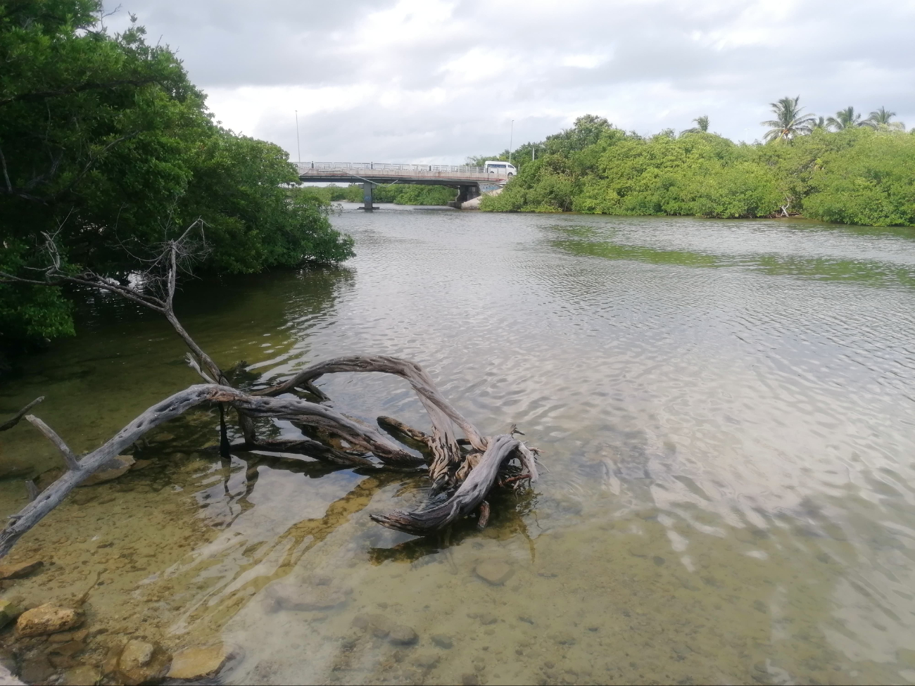 Bañistas exigen limpieza del río, como también conciencia por parte de otros visitantes para no ensuciar el sitio Bañistas exigen limpieza del río, como también conciencia por parte de otros visitantes para no ensuciar el sitio