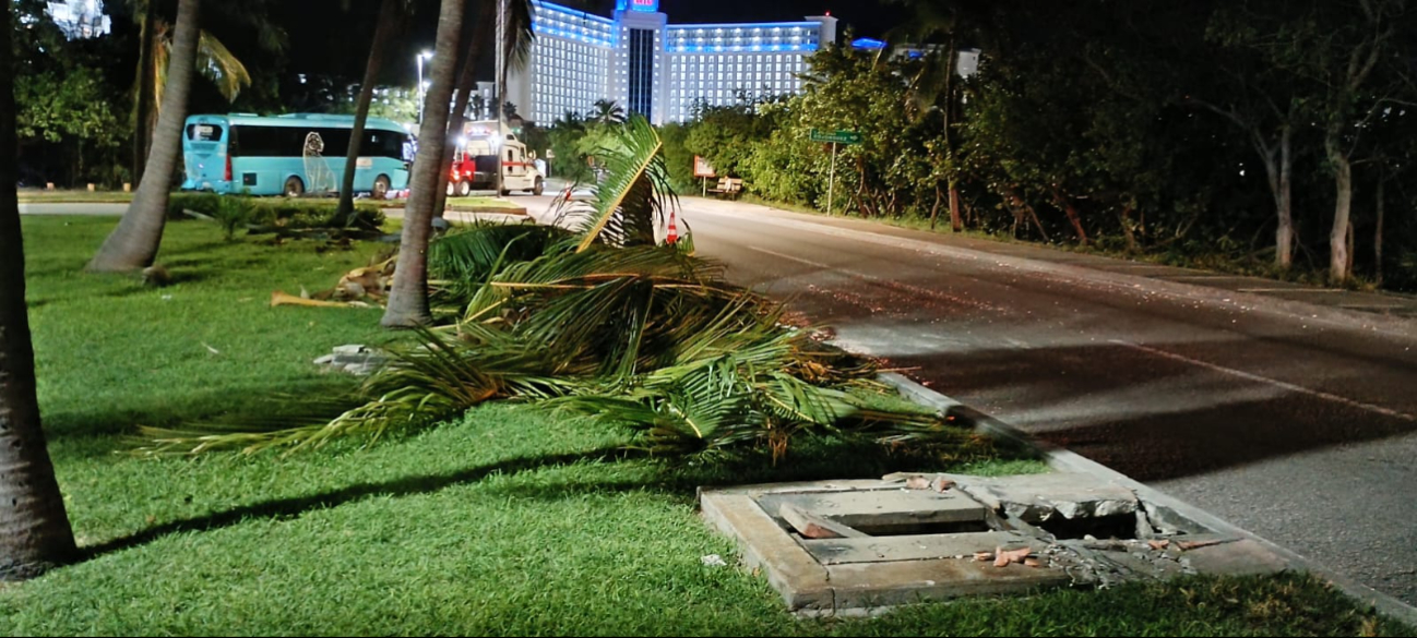 Cuerpos de rescate comenzaron retirar los restos de palmera y escombro de la carretera Cuerpos de rescate comenzaron retirar los restos de palmera y escombro de la carretera