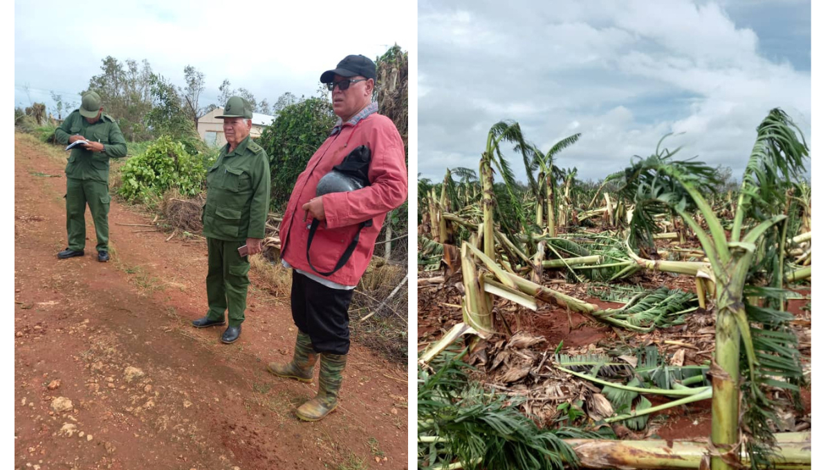 El gobierno cubano ha comenzado las labores de recuperación y asistencia a los afectados El gobierno cubano ha comenzado las labores de recuperación y asistencia a los afectados