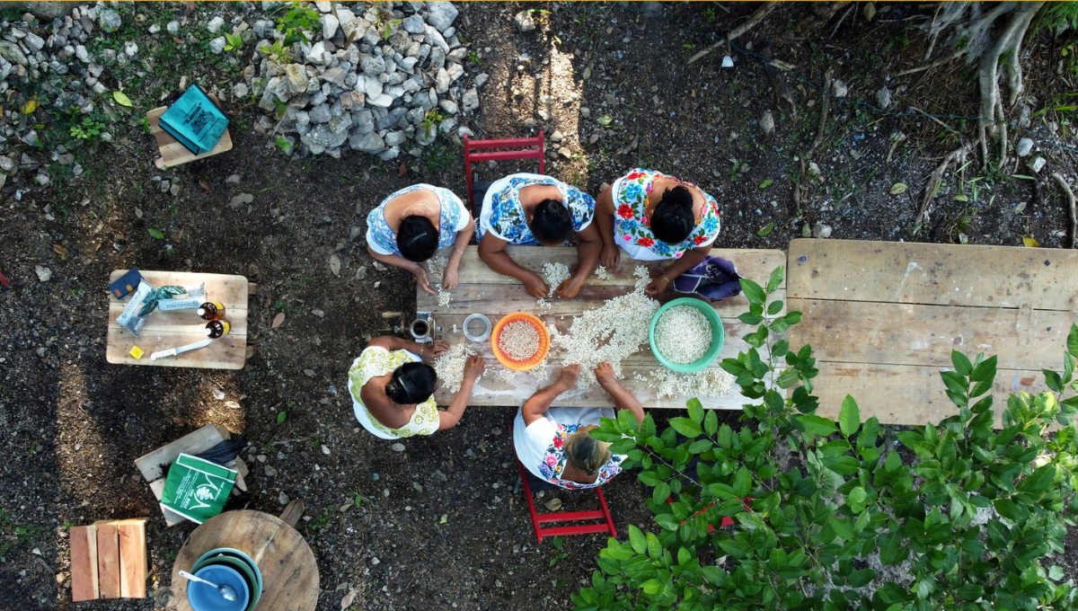 Se celebra en comunidades de Campeche como Hopelchén, Calkiní y Dzitbalché Se celebra en comunidades de Campeche como Hopelchén, Calkiní y Dzitbalché