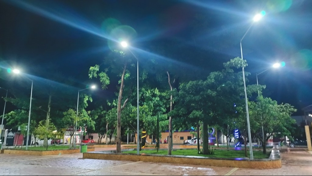 Las lámparas led presentan un problema para la fauna local. Las lámparas led presentan un problema para la fauna local.