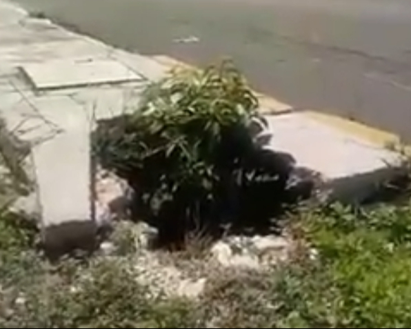 Precipitaciones intensas junto con socavones presentan un riesgo a los chetumalenses. Precipitaciones intensas junto con socavones presentan un riesgo a los chetumalenses.