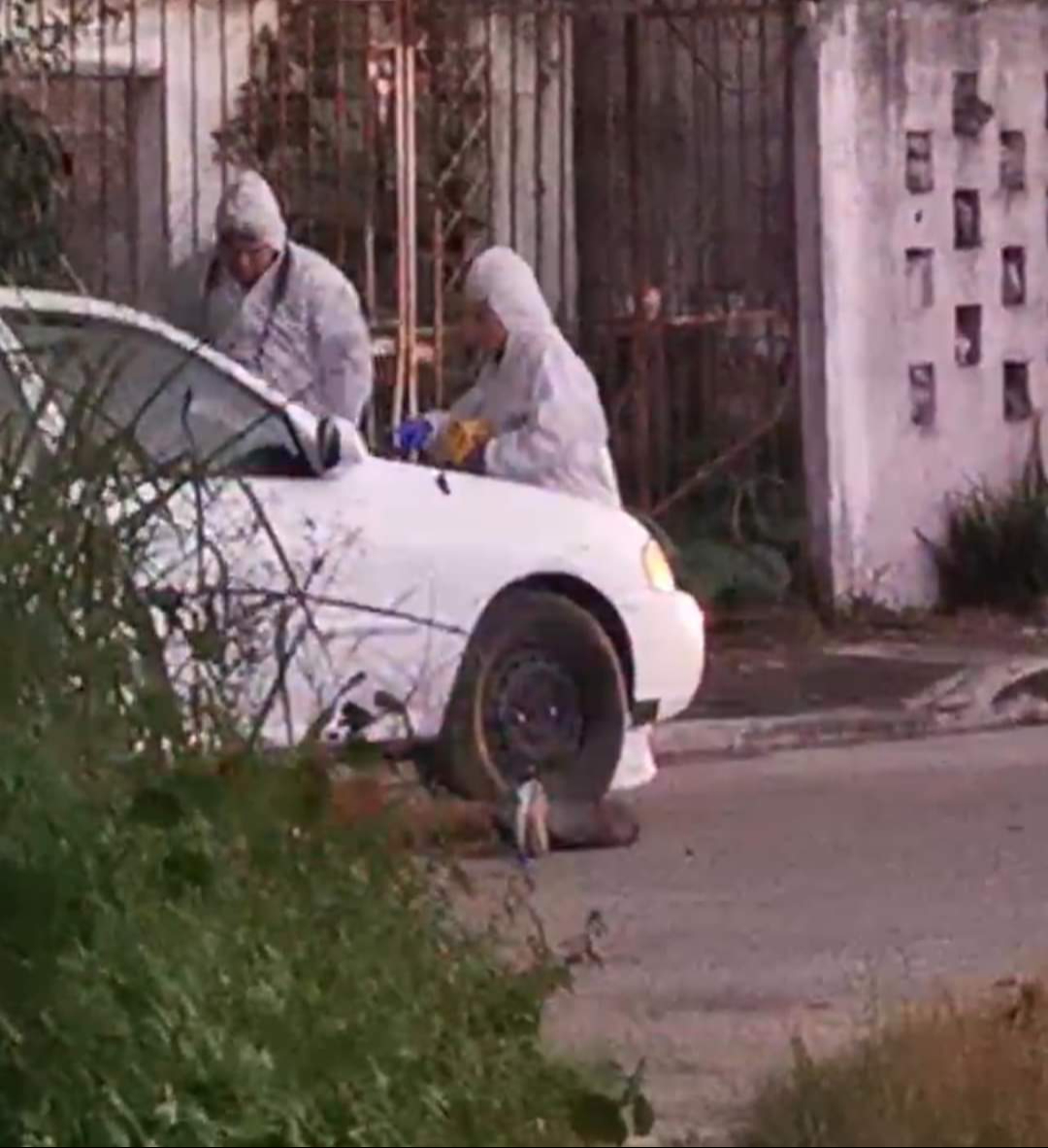 Homicidio en la colonia Payo Obispo de Chetumal / Especial Homicidio en la colonia Payo Obispo de Chetumal / Especial