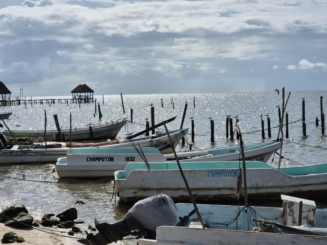 La Capitanía de Puerto exhorta a los pescadores a mantenerse informados y evitar viajes largos La Capitanía de Puerto exhorta a los pescadores a mantenerse informados y evitar viajes largos