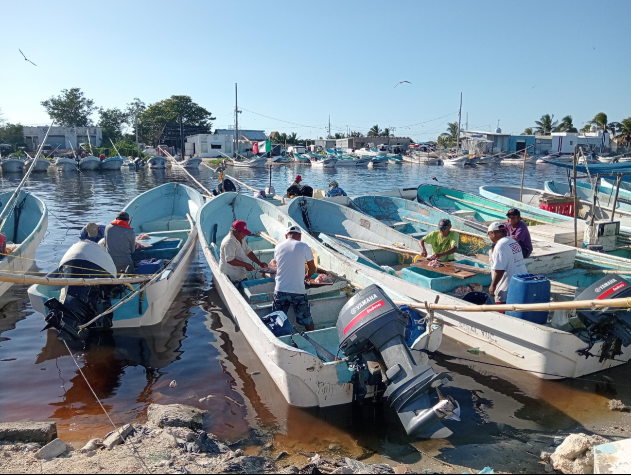 El clima reciente está a favor de los pescadores, que mantienen buen ánimo en sus jornadas