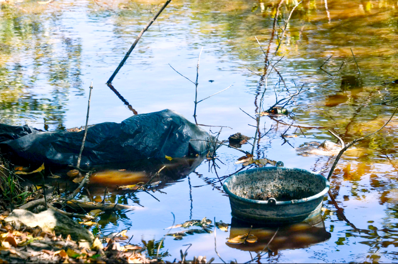 La laguna funge como sitio de crianza de muchas especies, como peces, crustáceos y moluscos. La laguna funge como sitio de crianza de muchas especies, como peces, crustáceos y moluscos.