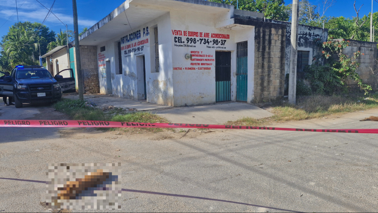 Por tercera ocasión, habitantes reportan actos de crueldad animal en Tekax Por tercera ocasión, habitantes reportan actos de crueldad animal en Tekax