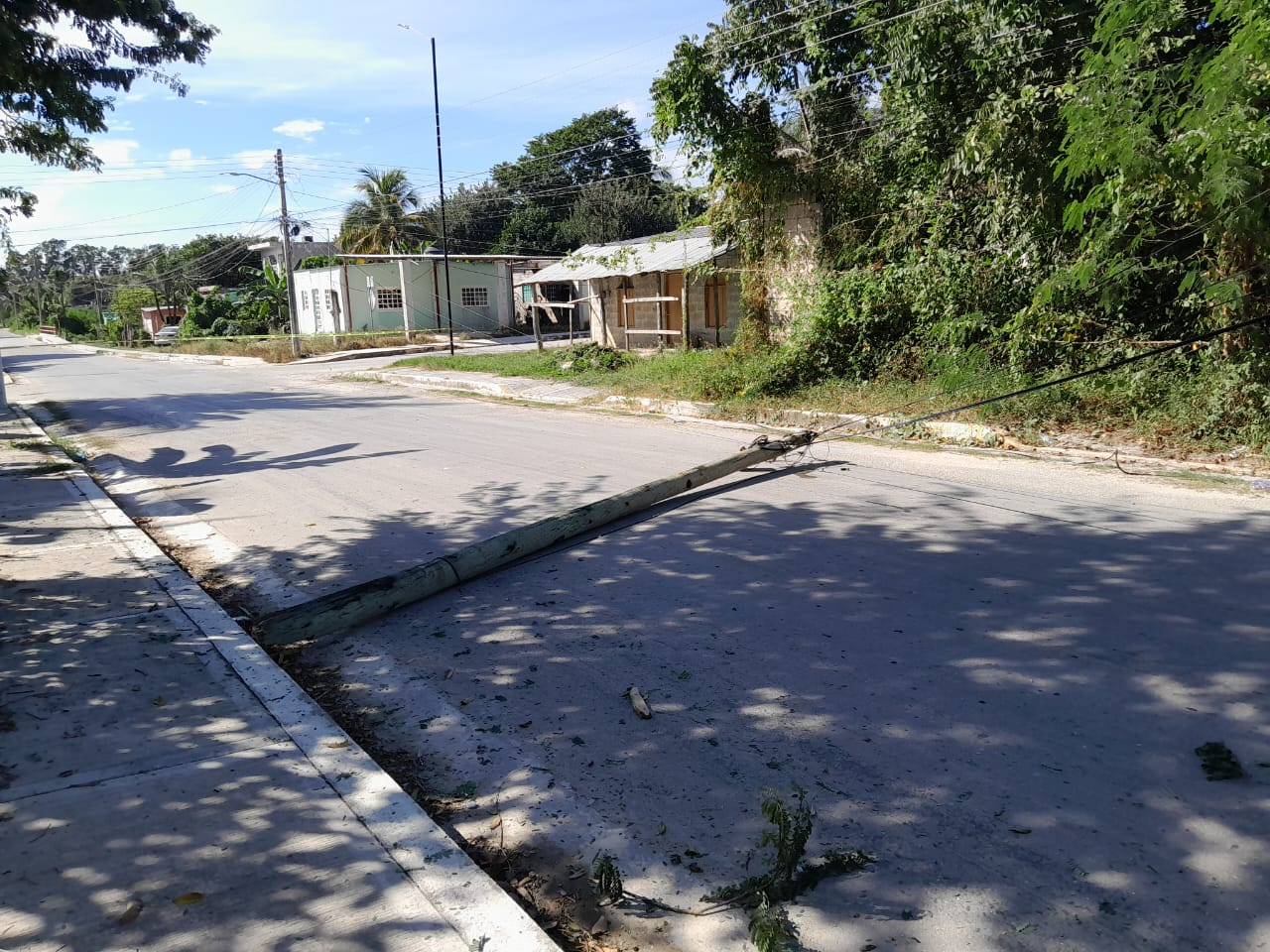 El incidente ocurrió alrededor de las 09:00 horas debido a cables bajos que se atoraron en el camión El incidente ocurrió alrededor de las 09:00 horas debido a cables bajos que se atoraron en el camión