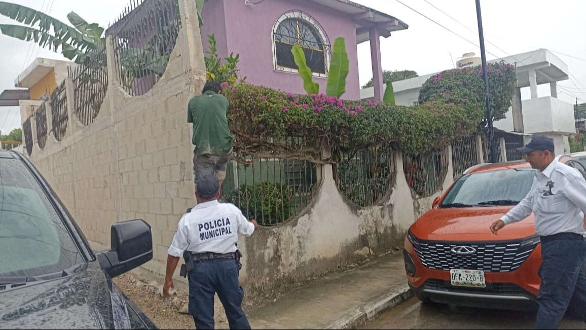 La Guiba fue capturado en el interior de una casa ubicada sobre la calle 28 entre 23 y 25 La Guiba fue capturado en el interior de una casa ubicada sobre la calle 28 entre 23 y 25