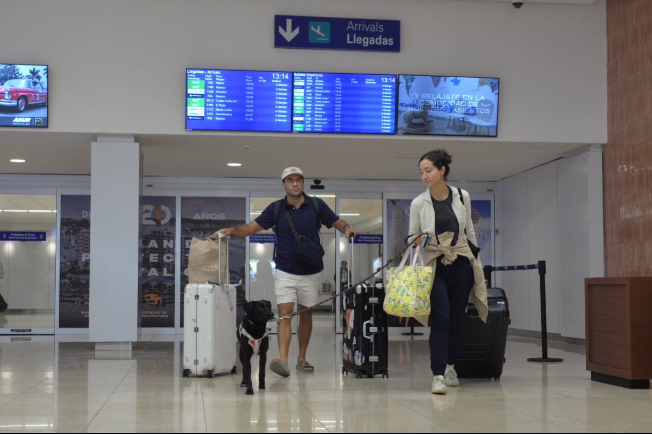 Perros y gatos recorren los pasillos del aeropuerto de Mérida para tranquilizar a sus propietarios Perros y gatos recorren los pasillos del aeropuerto de Mérida para tranquilizar a sus propietarios