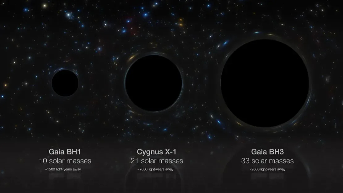 Comparativa de tamaño de algunos agujeros negros estelares situados en la Vía Láctea: Gaia BH1 con 10 masas solares; Cygnus X-1 con 21 masas solares; y Gaia BH3 con 33 Comparativa de tamaño de algunos agujeros negros estelares situados en la Vía Láctea: Gaia BH1 con 10 masas solares; Cygnus X-1 con 21 masas solares; y Gaia BH3 con 33