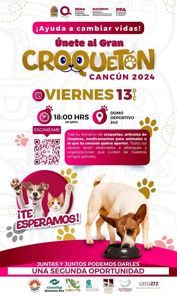 Corquetón Cancún 2024 regresa para darles una segunda oportunidad a los peluditos Corquetón Cancún 2024 regresa para darles una segunda oportunidad a los peluditos
