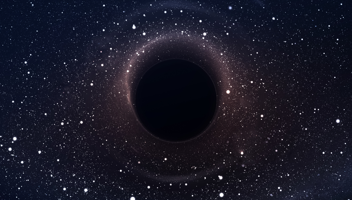 Los agujeros negros son remanentes de estrellas masivas que colapsan bajo su propio peso Los agujeros negros son remanentes de estrellas masivas que colapsan bajo su propio peso