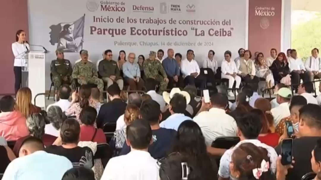 Ver Video