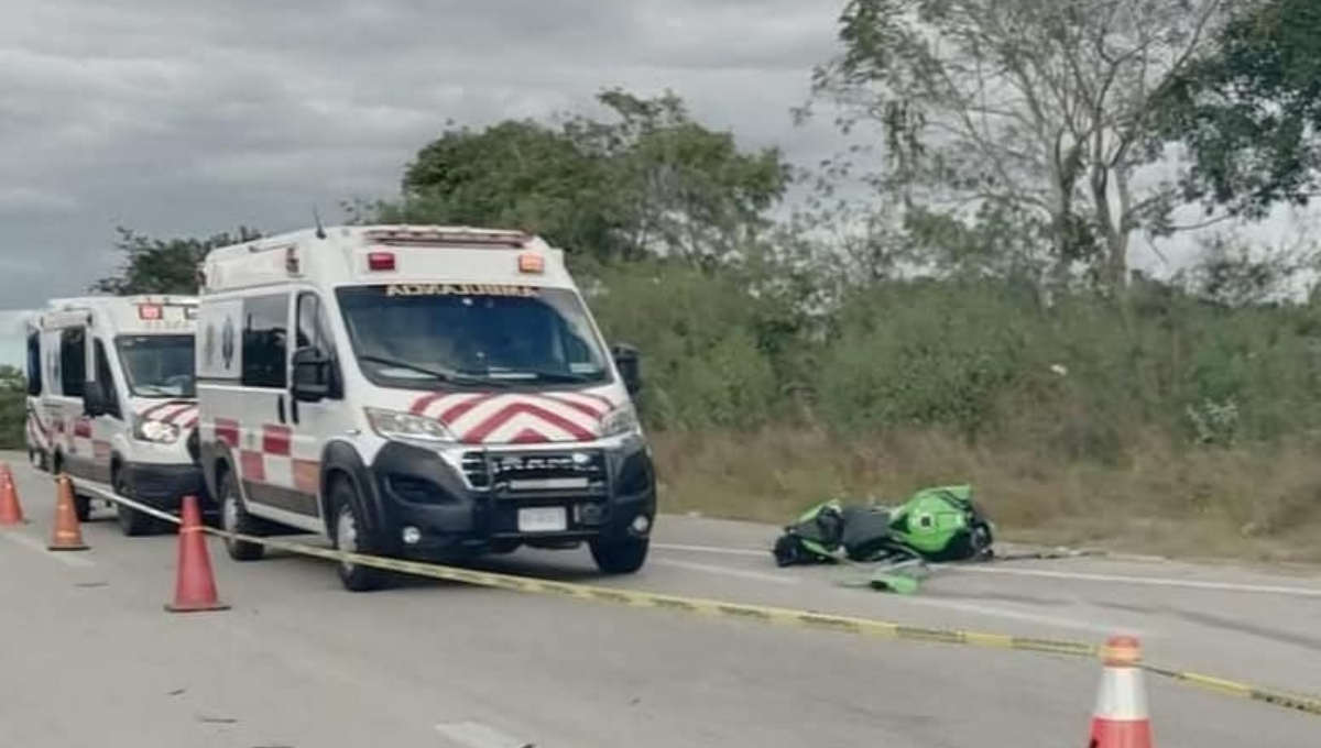 Los dos conductores perdieron la vida en el choque Los dos conductores perdieron la vida en el choque