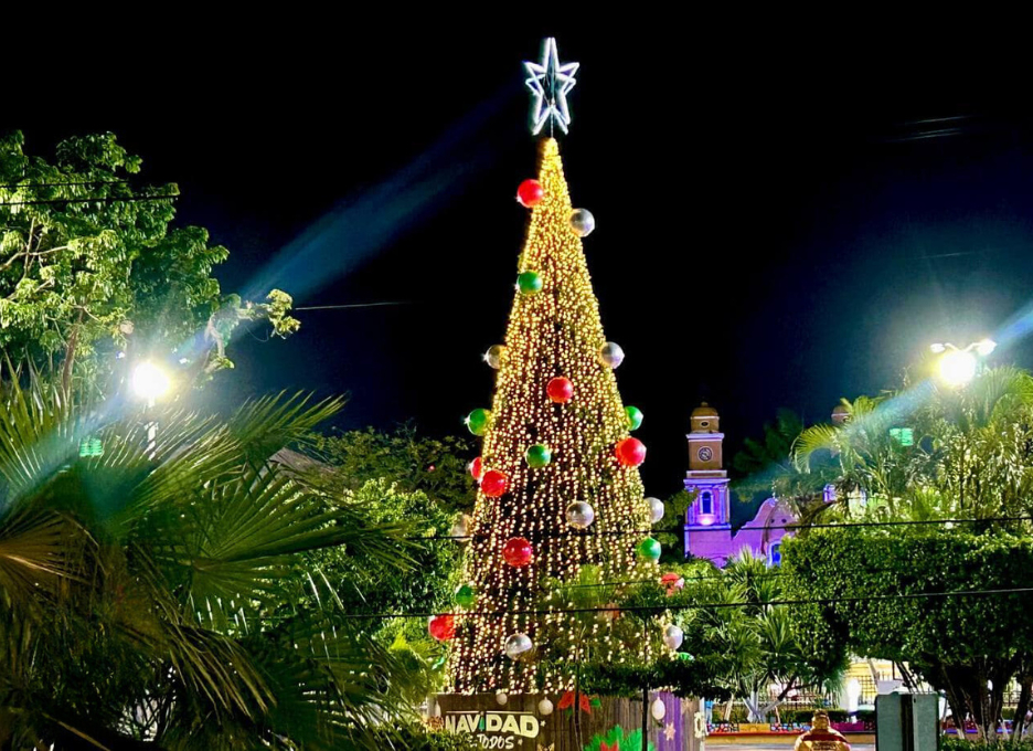 El árbol navideño se colocó el 8 de diciembre en el Parque Zaragoza del centro El árbol navideño se colocó el 8 de diciembre en el Parque Zaragoza del centro