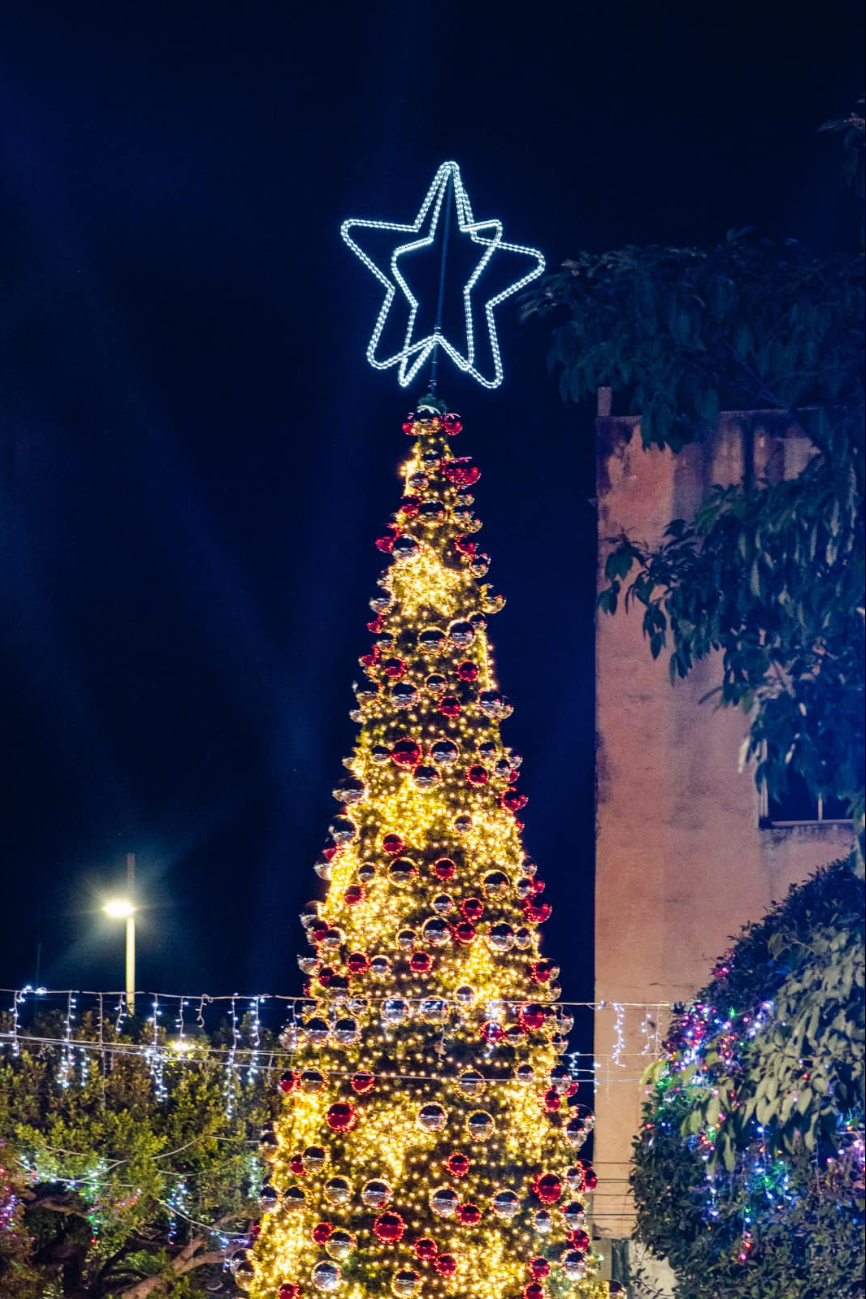 El encendido del árbol navideño se llevó a cabo el 8 de diciembre en el parque principal "Miguel Hidalgo y Costilla", El encendido del árbol navideño se llevó a cabo el 8 de diciembre en el parque principal "Miguel Hidalgo y Costilla",