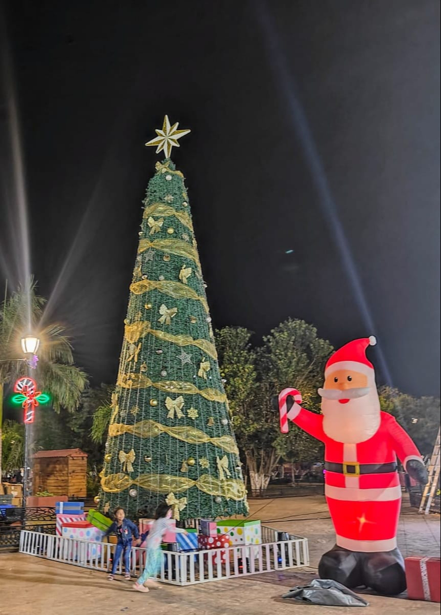 La alcaldía colocó su árbol navideño el 7 de diciembre en el palacio municipal La alcaldía colocó su árbol navideño el 7 de diciembre en el palacio municipal