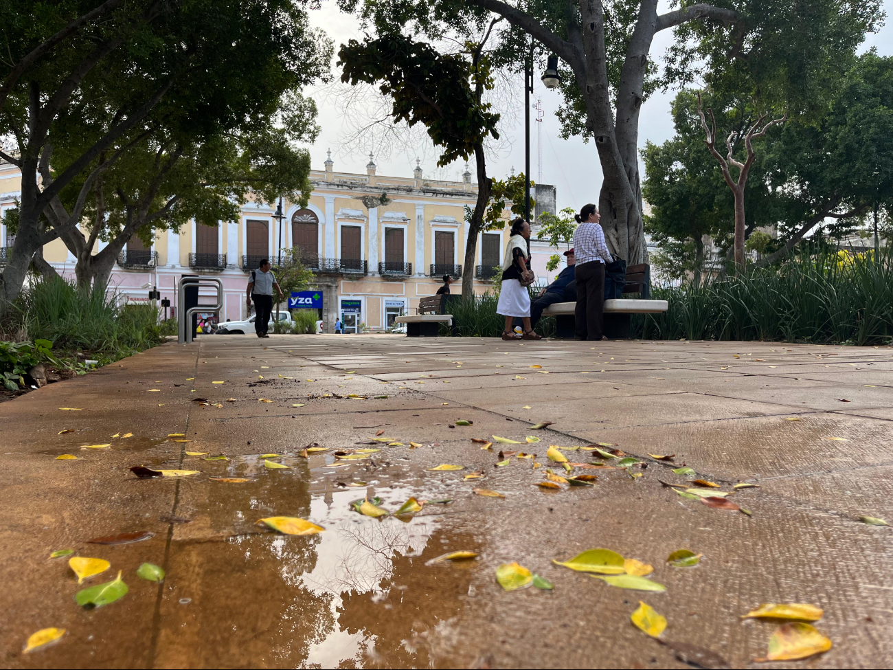 Un nuevo Frente Frío ingresará a Yucatán esta semana Un nuevo Frente Frío ingresará a Yucatán esta semana