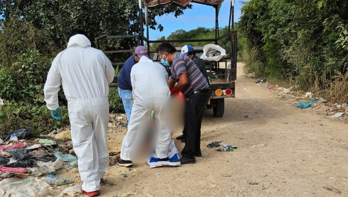 El cadáver de un cerdo fue arrojado en un basurero clandestino en un camino de terracería usado por campesinos El cadáver de un cerdo fue arrojado en un basurero clandestino en un camino de terracería usado por campesinos