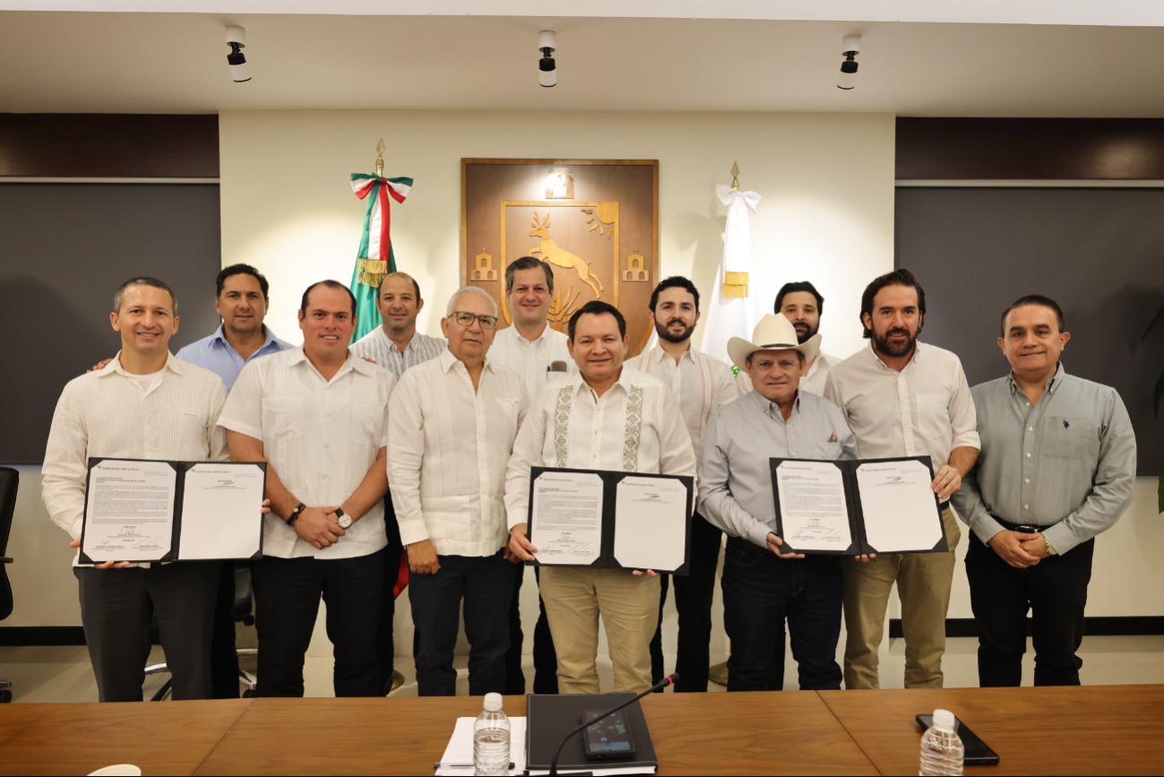 Este proyecto proporcionará energía limpia a 140 mil hogares