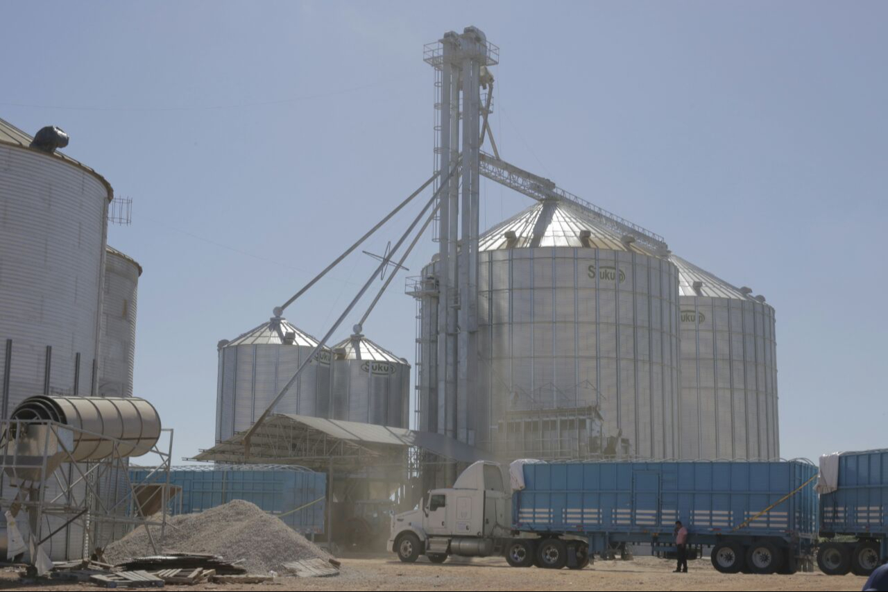 Quedan otras 50,000 toneladas de maíz amarillo sin mercado, generando preocupación Quedan otras 50,000 toneladas de maíz amarillo sin mercado, generando preocupación