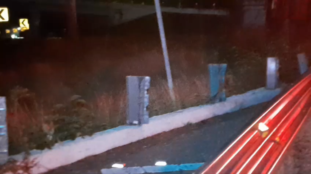 Silos se salvan de rapiña tras accidente en Mérida-Campeche Silos se salvan de rapiña tras accidente en Mérida-Campeche