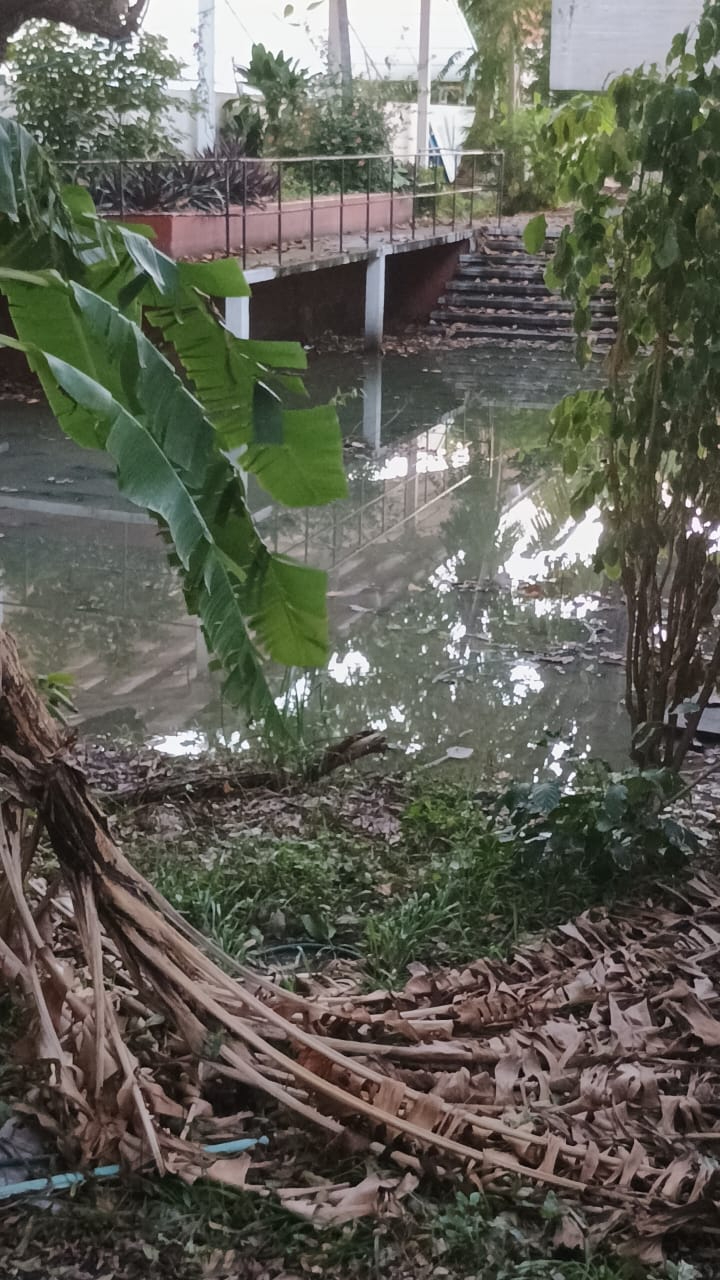   Denuncian foco de infección por aguas negras en el CSS del IMSS en Ciudad del Carmen