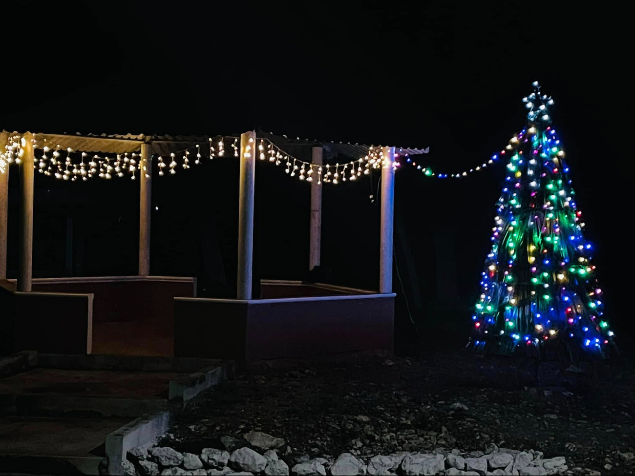 El árbol fue encendido el 11 de diciembre de 2024 y es un símbolo de creatividad y colaboración El árbol fue encendido el 11 de diciembre de 2024 y es un símbolo de creatividad y colaboración