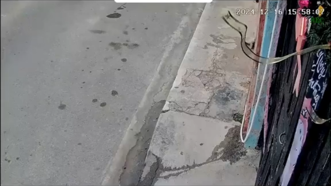 Robo con estilo Robo con estilo