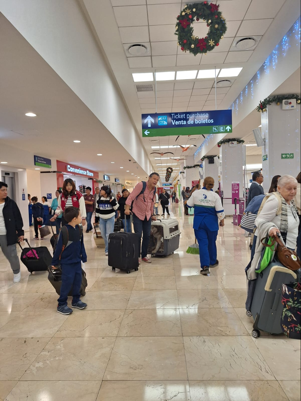 Familias junto a sus mascotas comienzan a viajar en el aeropuerto de Mérida Familias junto a sus mascotas comienzan a viajar en el aeropuerto de Mérida