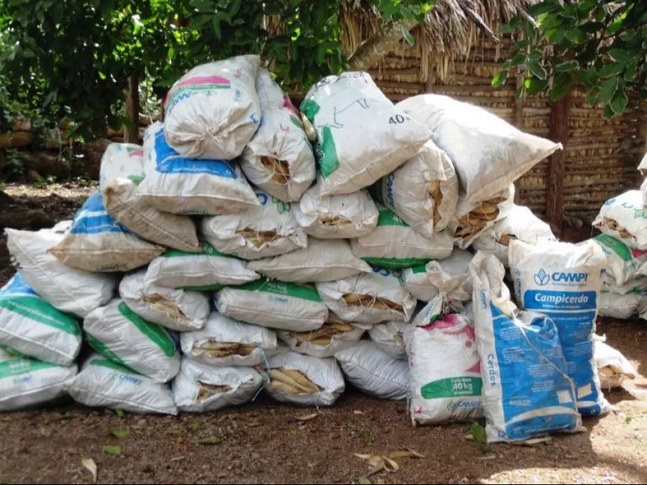 Crisis multifactorial en el campo de Campeche necesita atención urgente: PRI   