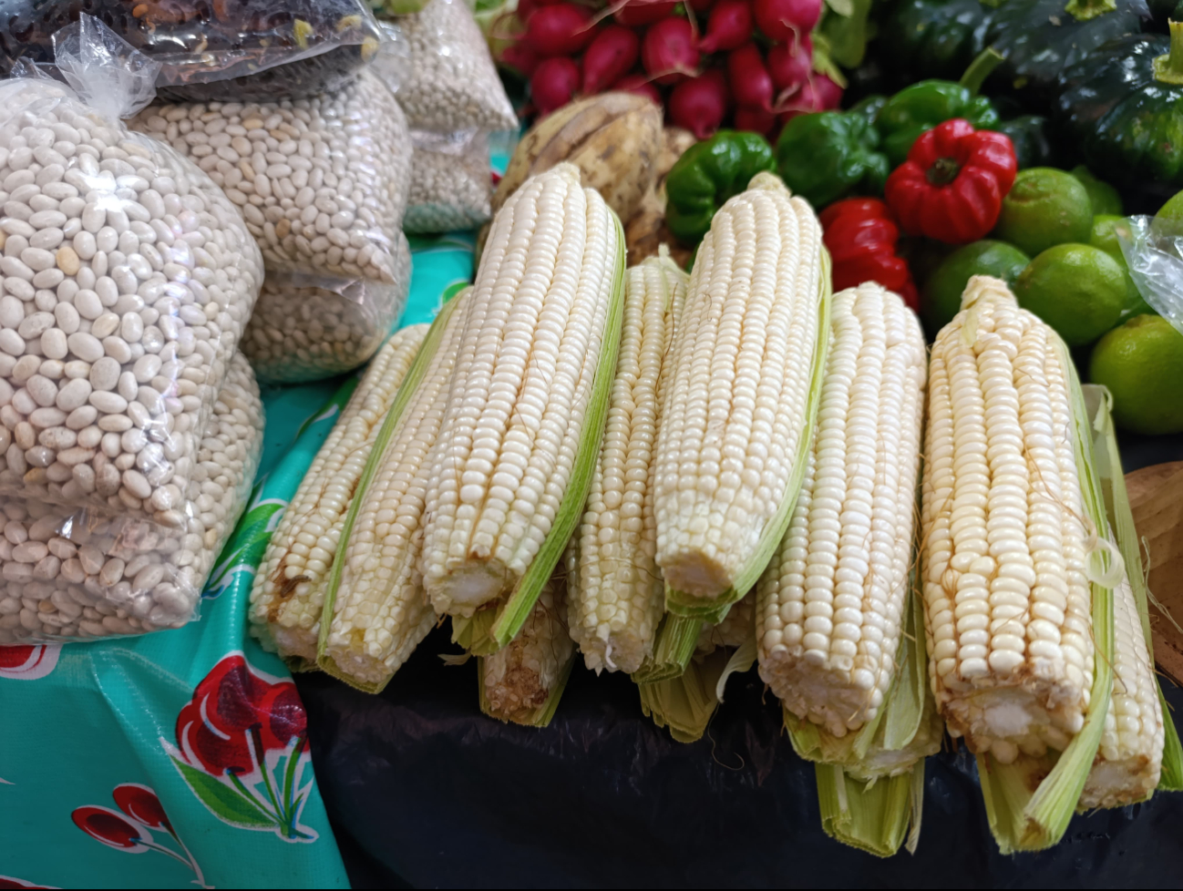  ¡Llévele marchante! En Campeche rematan elotes por sobreproducción   