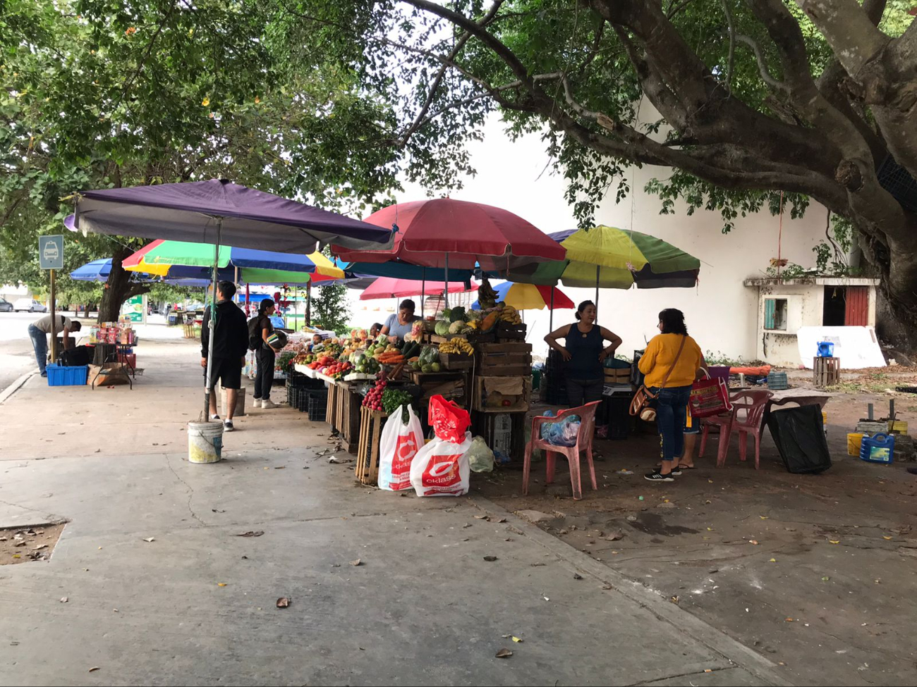 Precios de la canasta básica se mantienen fluctuantes en Chetumal