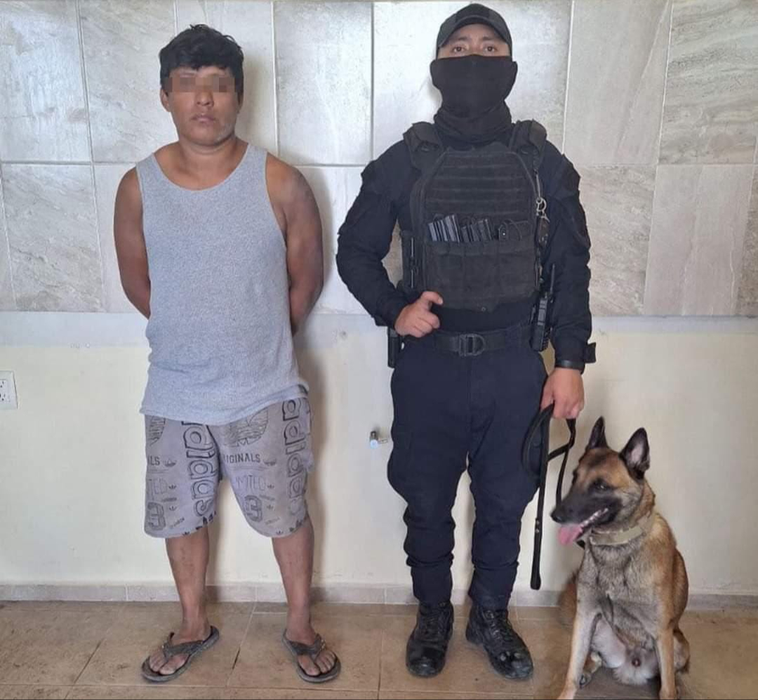La víctima es una menor de 12 años quien sufrió tocamientos indebidos del detenido La víctima es una menor de 12 años quien sufrió tocamientos indebidos del detenido